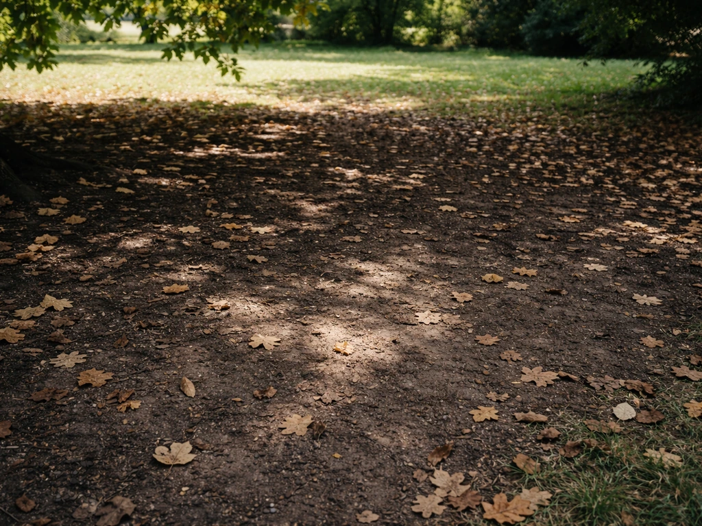 Sous un arbre, zone sombre et sol compacté avec feuilles mortes, montrant pourquoi l’herbe ne pousse pas.